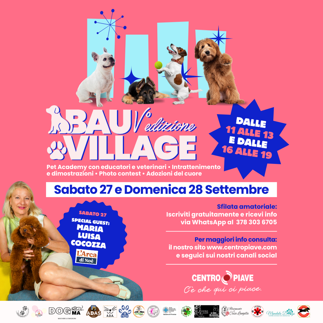 gli eventi del centro. in foto bauvillage